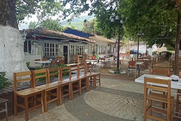 Çay bahçeleri - Resim 1