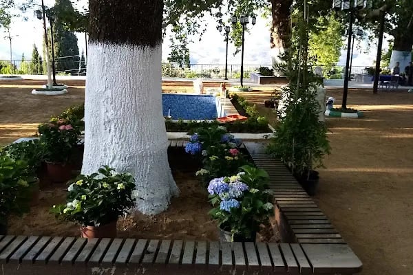 Çay bahçeleri - Resim 19