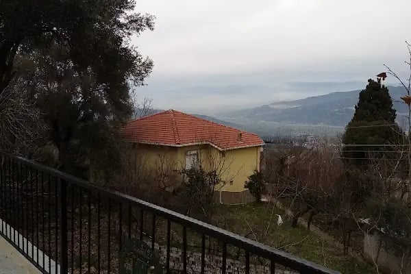 Çay bahçeleri - Resim 13