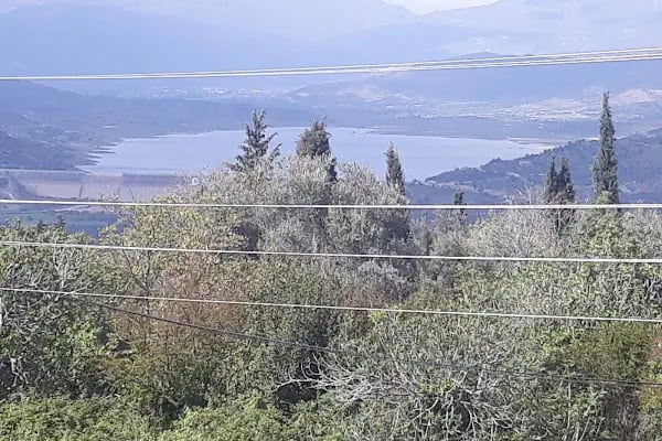 Çay bahçeleri - Resim 14
