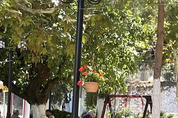 Çay bahçeleri - Resim 16
