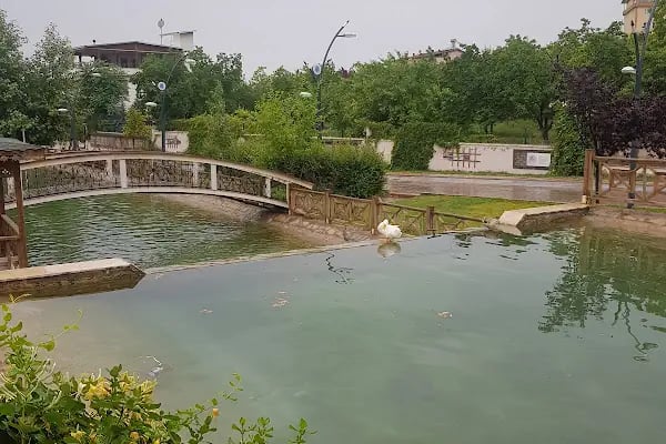 Çınar park - Resim 5