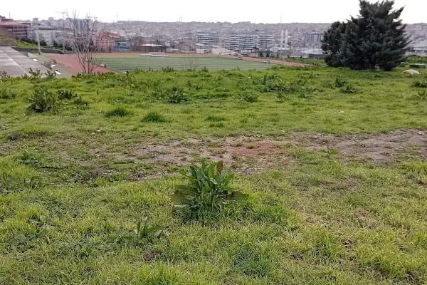 Yıldız Teknik Üniversitesi Spor Salonu - Resim 12