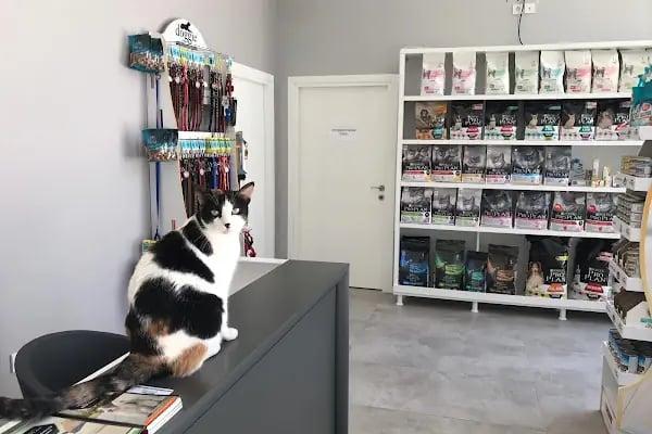 Equipet Veteriner Kliniği (Çerkezköy) - Resim 5