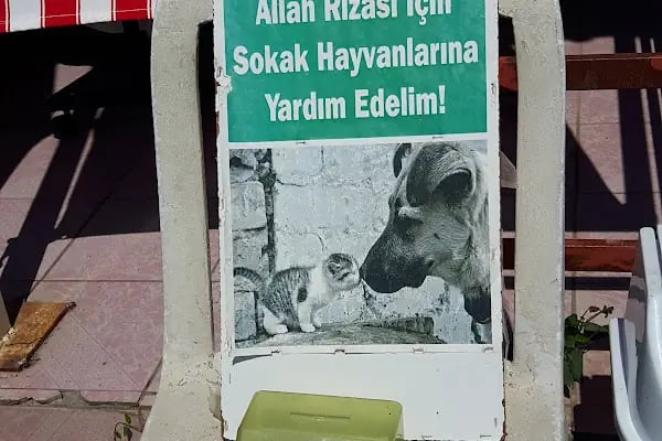 Şile Bezi Outlet - Resim 2
