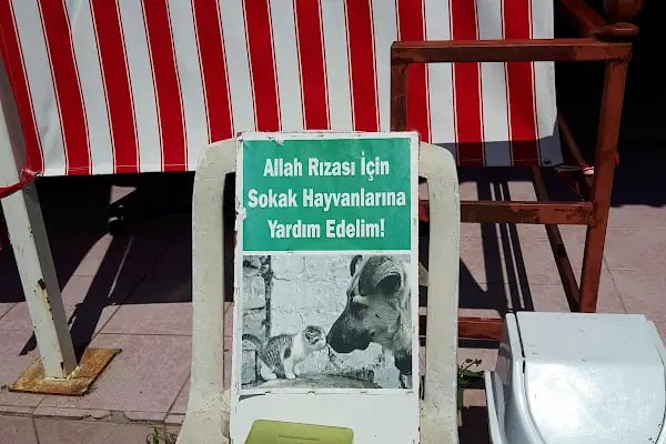 Şile Bezi Outlet - Resim 18