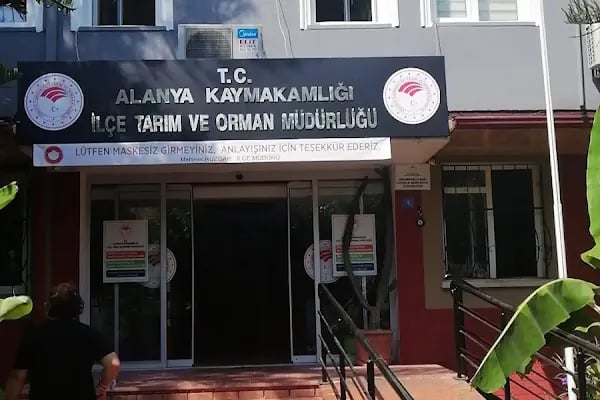 Alanya Tarım İlçe Müdürlüğü - Resim 6