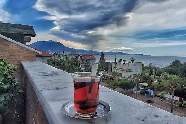 Alanya Tarım İlçe Müdürlüğü - Resim 10