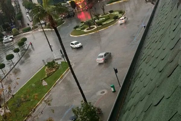 Alanya Tarım İlçe Müdürlüğü - Resim 8