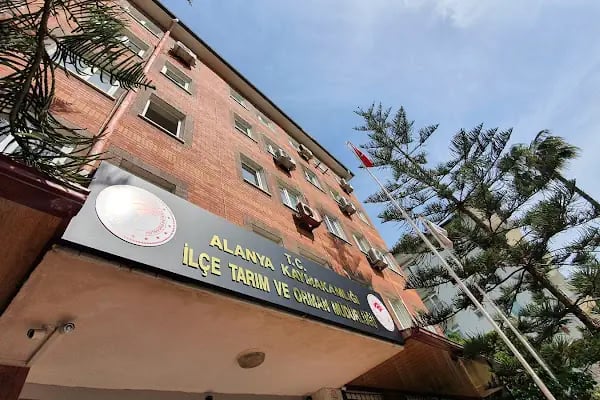 Alanya Tarım İlçe Müdürlüğü - Resim 14