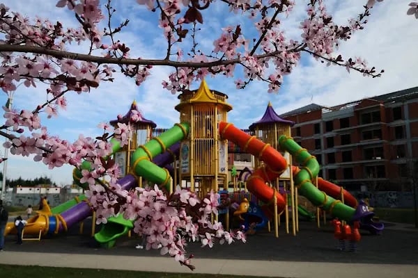 Serdivan Park - Resim 10