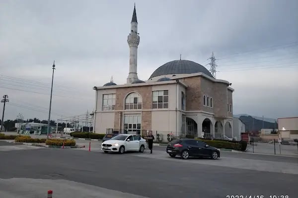 BUSEB Serbest Bölge Kurucu Ve İşleticisi Aş - Resim 4