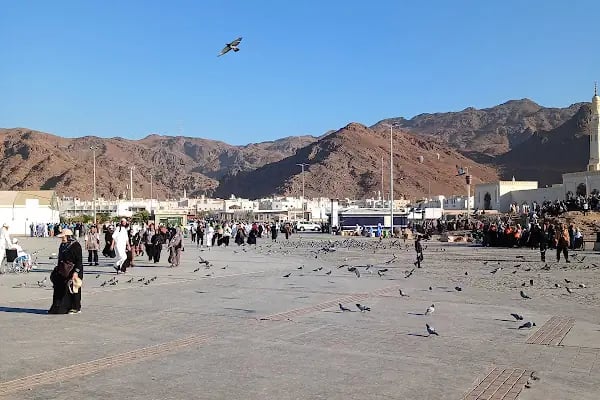 Suudi Arabistan Krallığı Başkonsolosluğu - Resim 5