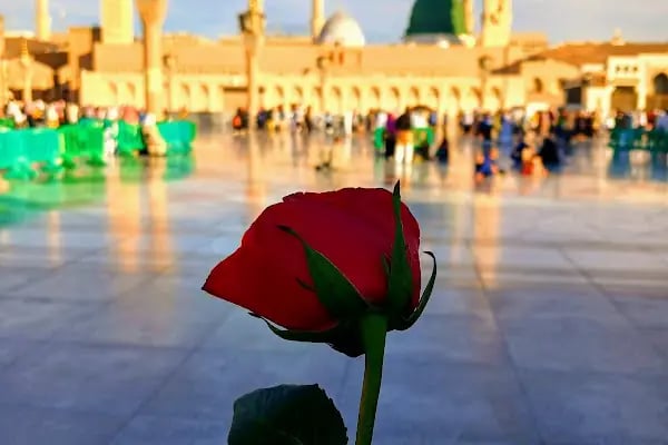 Suudi Arabistan Krallığı Başkonsolosluğu - Resim 10