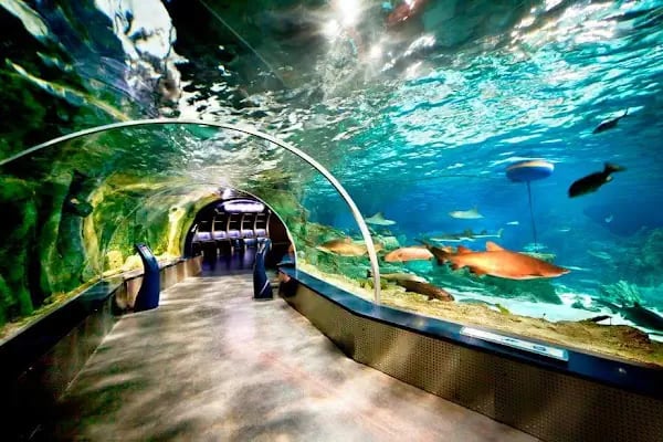 İstanbul Akvaryum - Resim 3
