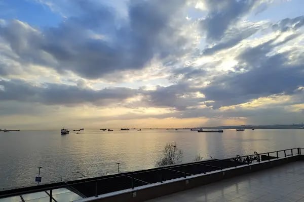 İstanbul Akvaryum - Resim 20