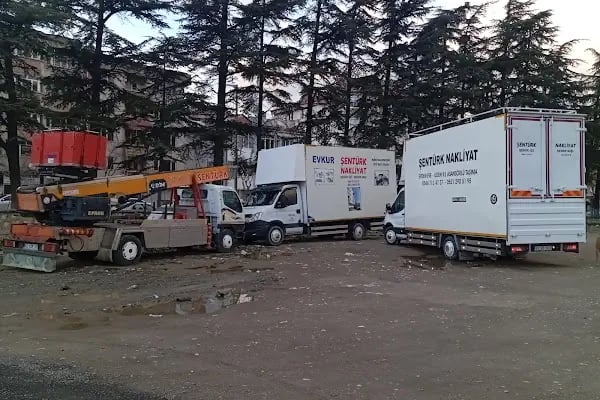 Şentürk asansörlü evden eve ilden ile taşımacılık spot büro malzemeleri - Resim 11