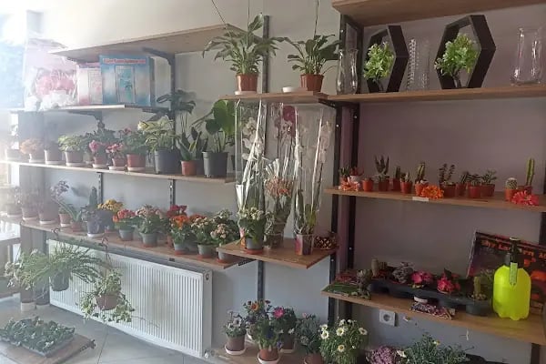 Gülay Çiçekevi ve Organizasyon - Resim 1