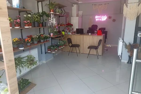 Gülay Çiçekevi ve Organizasyon - Resim 3