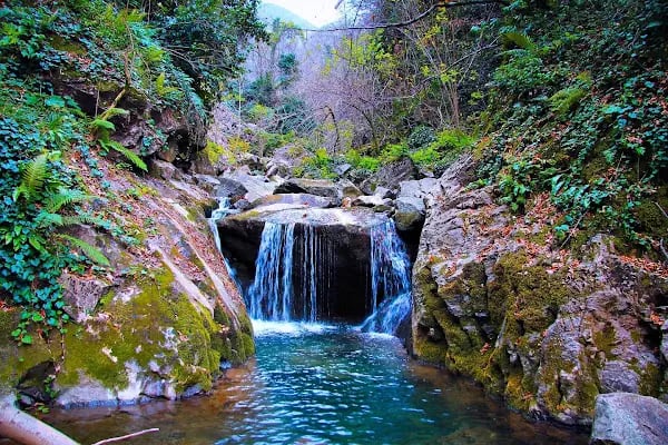 Beşkayalar Tabiat Parkı - Resim 7