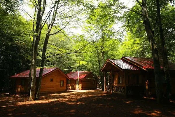 Beşkayalar Tabiat Parkı - Resim 18
