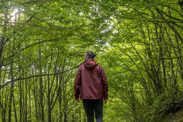 Beşkayalar Tabiat Parkı - Resim 16