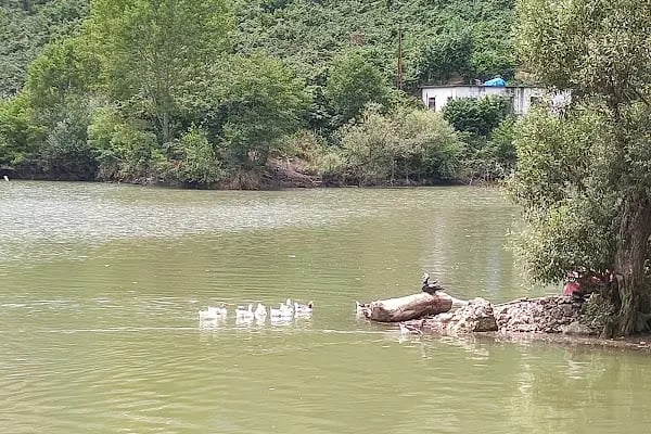 Sera Gölü Tesisleri Yaşar Usta - Resim 19