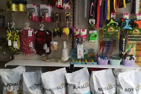 Üstün petshop - Resim 14