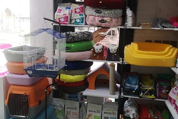 Üstün petshop - Resim 2
