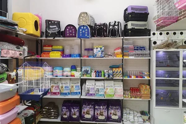 Üstün petshop - Resim 19