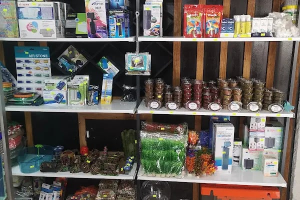 Üstün petshop - Resim 13