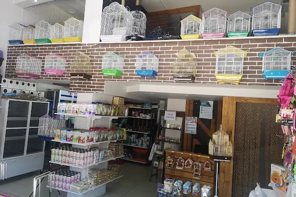 Üstün petshop - Resim 11