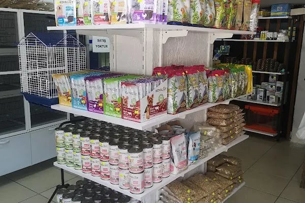 Üstün petshop - Resim 12