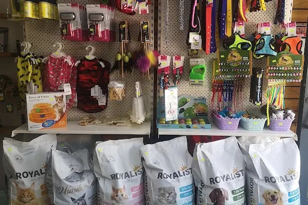 Üstün petshop - Resim 17