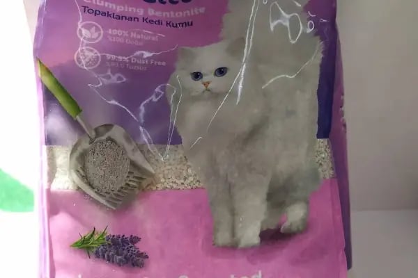 Üstün petshop - Resim 18