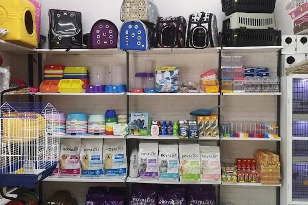 Üstün petshop - Resim 20