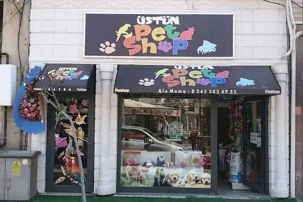 Üstün petshop - Resim 6