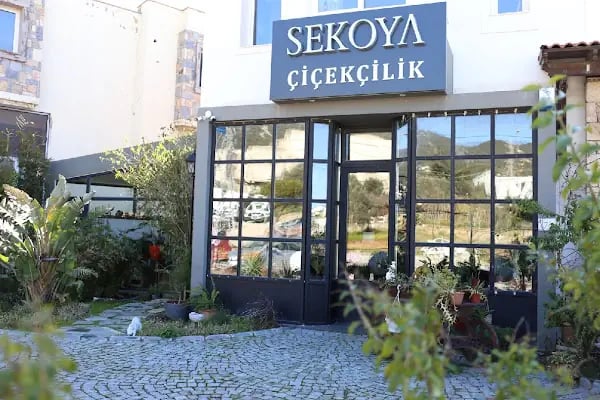 Sekoya - Resim 16