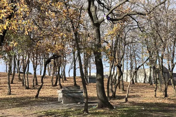 Yazlık Kadırga Tesisleri - Resim 8