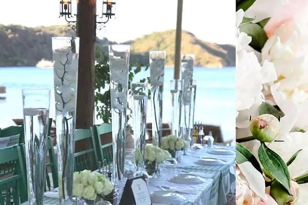 Bodrum İnci Çiçek Evi - Resim 4