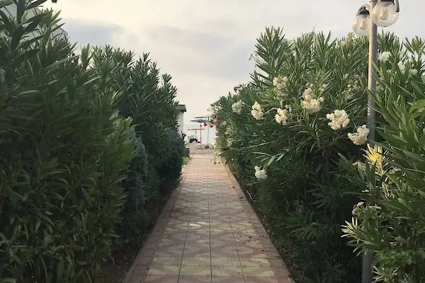 ANAMUR ÖZEL EĞİTİM KAMPI - Resim 8