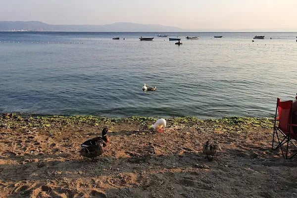 Esen Doğa Motel - Resim 14