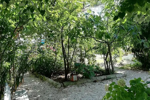 Esen Doğa Motel - Resim 12