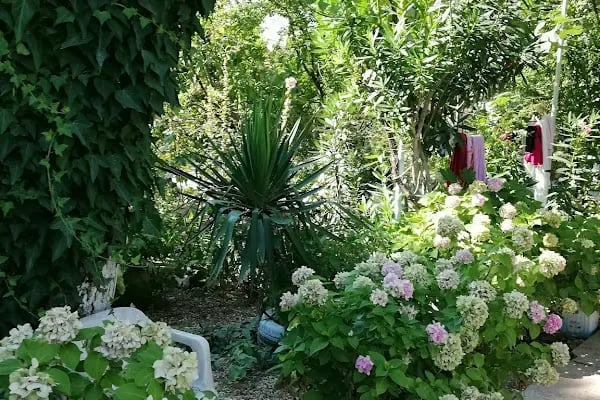 Esen Doğa Motel - Resim 9
