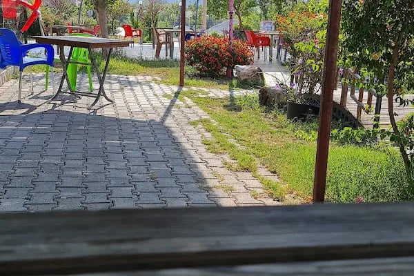 SEDİR PARK - Resim 2