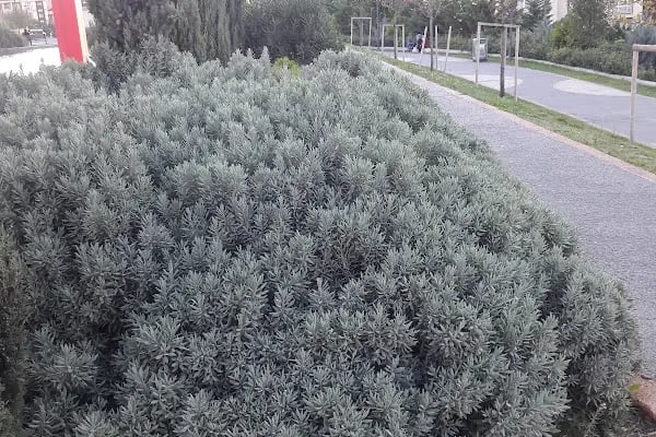 Azarbaycan Dostluk Parkı - Resim 13