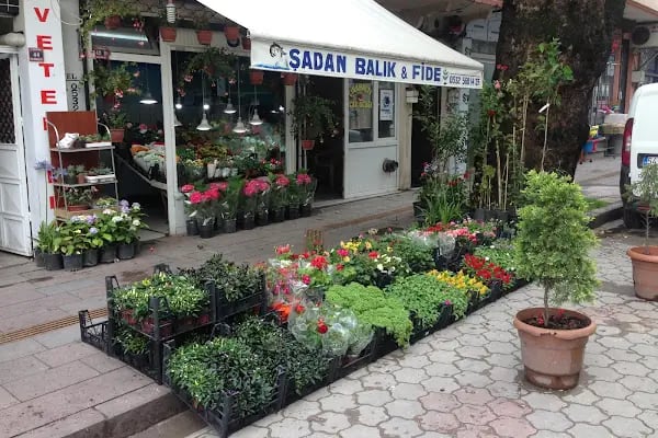 Hendek Şadan Çiçekçilik Fide Fidan Peyzaj Tohumculuk - Resim 1