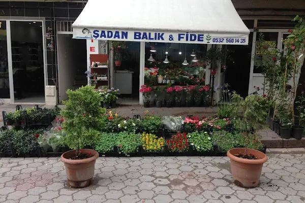 Hendek Şadan Çiçekçilik Fide Fidan Peyzaj Tohumculuk - Resim 3