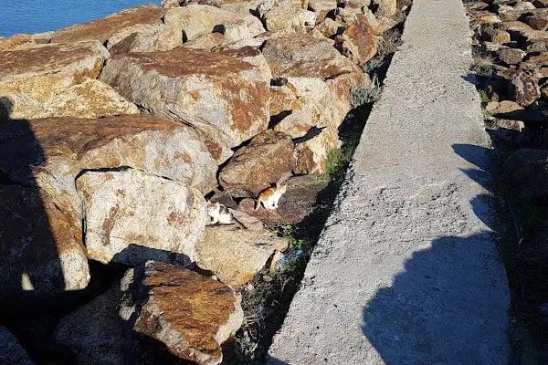 Enez Limanı Feneri - Resim 17