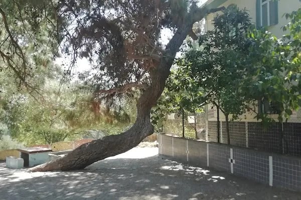 KaracaAhmet Türbesi - Resim 6